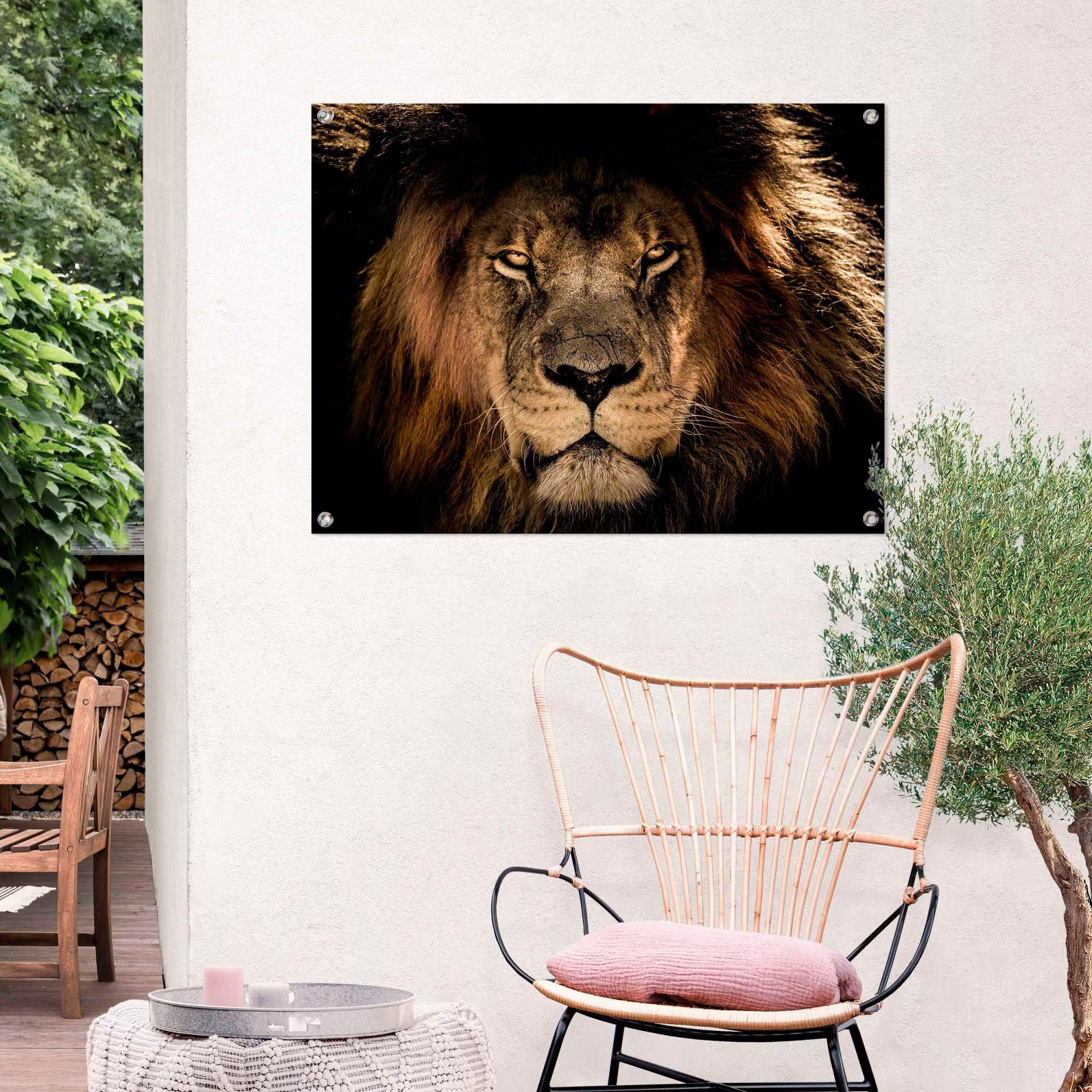 Reinders! Poster REINDERS "Löwe", braun (farbe bild(er): braun), B:80cm H:60cm T:0,1cm, Leinwand, Bilder, Poster farbe bild(er): braun B/H/T: 80cm x 60cm x 0,1cm