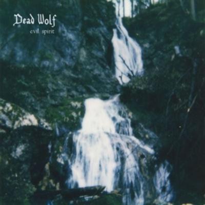 Evil Spirit - Dead Wolf, Vinyl