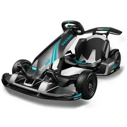Segway-Ninebot GoKart PRO 2