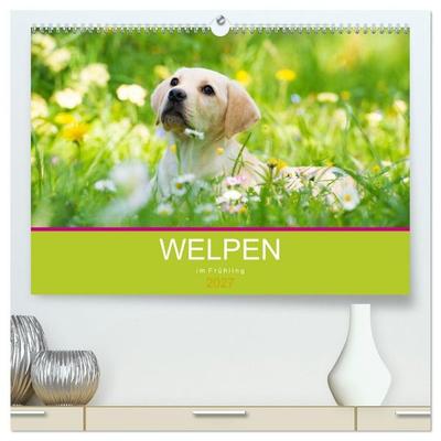 Welpen im Frühling (hochwertiger Premium Wandkalender 2027 DIN A2 quer), Kunstdruck in Hochglanz