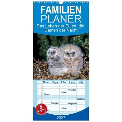 Familienplaner 2027 - Das Leben der Eulen, die Damen der Nacht mit 5 Spalten (Wandkalender, 21 x 45 cm) CALVENDO