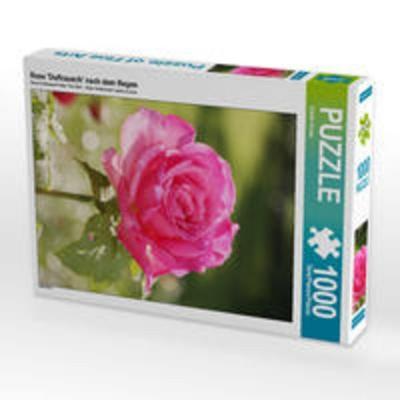 CALVENDO Puzzle Rose 'Duftrausch' nach dem Regen 1000 Teile Lege-Größe 48 x 64 cm Foto-Puzzle Bild von Gisela Kruse