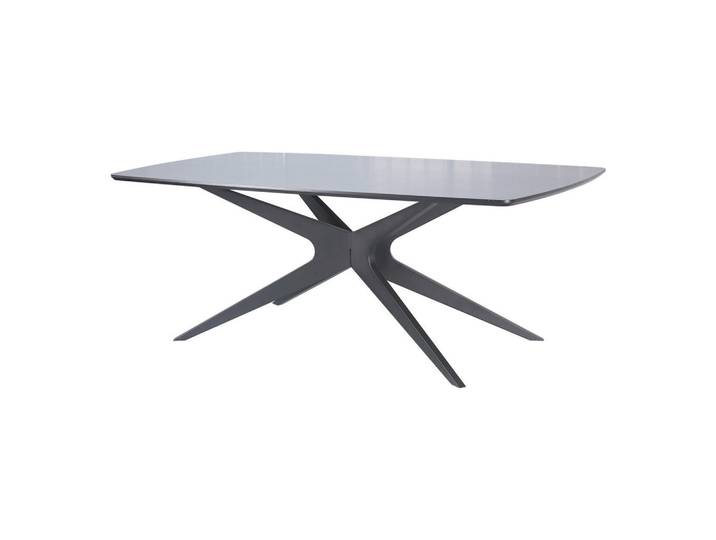 Mid.you Esstisch Dresden, Schwarz, Metall, Uni, rechteckig, Sternfuß, 100x76x200 cm, gastro- und objekttauglich, Esszimmer, Tische, Esstische