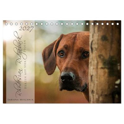 Rhodesian Ridgeback - Herzen auf vier Pfoten (Tischkalender 2027 DIN A5 quer), CALVENDO Monatskalender