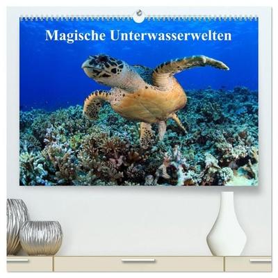 Magische Unterwasserwelten (hochwertiger Premium Wandkalender 2027 DIN A2 quer), Kunstdruck in Hochglanz