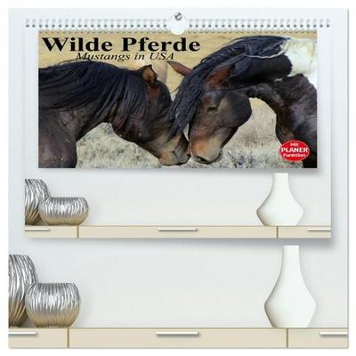 Wilde Pferde. Mustangs in USA (hochwertiger Premium Wandkalender 2026 DIN A2 quer), Kunstdruck in Hochglanz