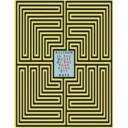 Allison Katz. In the House of the Trembling Eye, Ratgeber von Allison Katz
