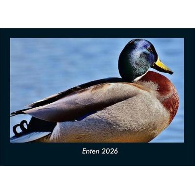 Enten 2026 Fotokalender DIN A4