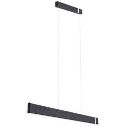 Paulmann Jagun 79995 LED-Pendelleuchte LED 21 W Anthrazit