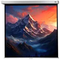 celexon Leinwand Rollo Professional Plus 120 x 120, Format 1:1