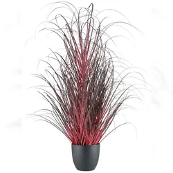CREATIV green künstliche Pflanze Gras im Topf, 102cm, dunkelrot