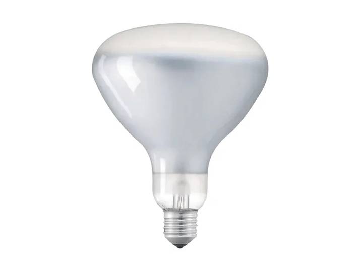 Flos Ampoule LED R125 E27 2700K 1180 lm 12 W