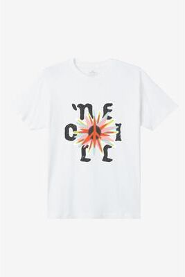 O'Neill s Sun Blast Classic T-Shirt in White, Size Small
