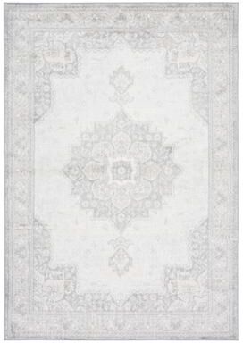 SAFAVIEH Brentwood Tapati Traditional Rug