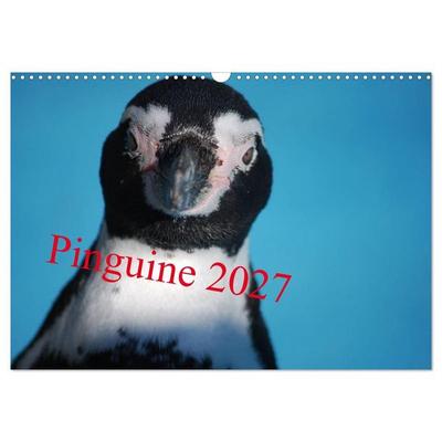 Pinguine 2027 (Wandkalender 2027 DIN A3 quer), CALVENDO Monatskalender