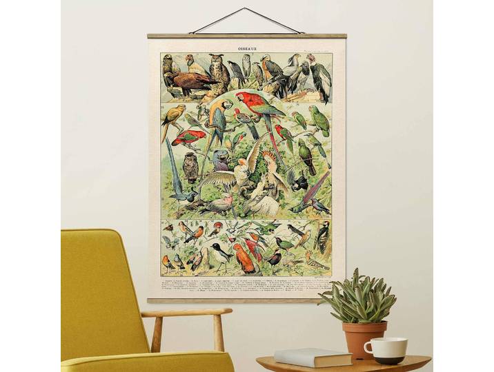 Stoffbild Vintage Lehrtafel Vögel Webstoff Multicolor 80 x 107cm