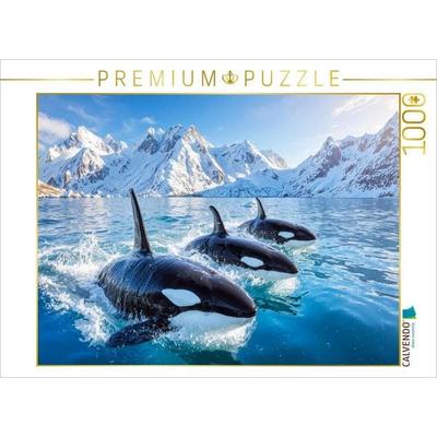 CALVENDO Puzzle Orca-Parade im Polarmeer | 1000 Teile Lege-Größe 64x48cm Foto-Puzzle für glückliche Stunden