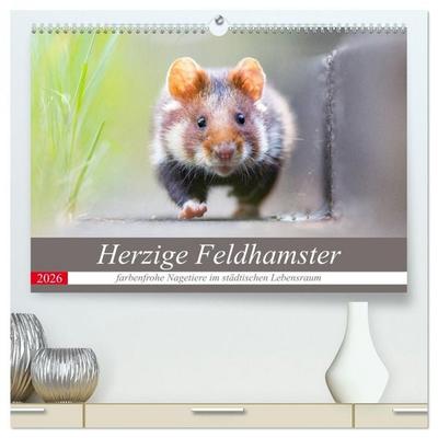Herzige Feldhamster - farbenfrohe Nagetiere im städtischen Lebensraum (hochwertiger Premium Wandkalender 2026 DIN A2 quer), Kunstdruck in Hochglanz