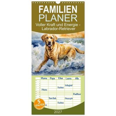Familienplaner 2027 - Voller Kraft und Energie - Labrador-Retriever mit 5 Spalten (Wandkalender, 21 x 45 cm) CALVENDO