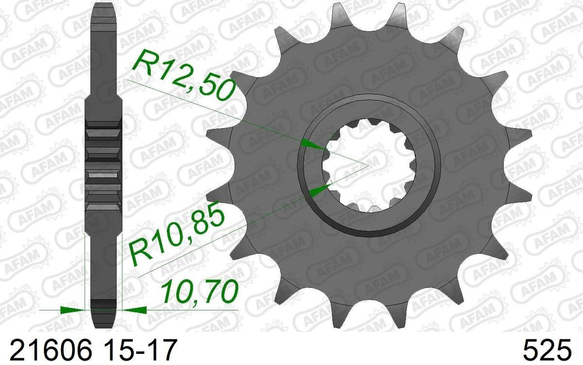 AFAM 21606-16 Chain Pinion