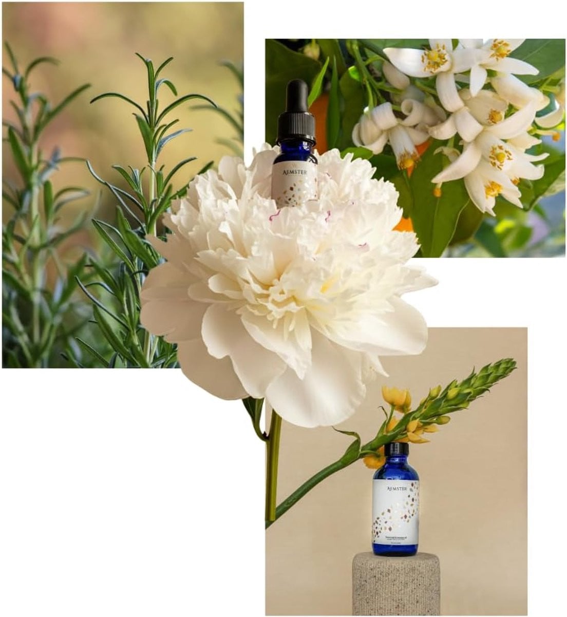 Lagunas Lemon Geurolie - 15ml - Citroen, Rozemarijn en Jasmijn - Fragrance Oil voor Aroma Diffuser