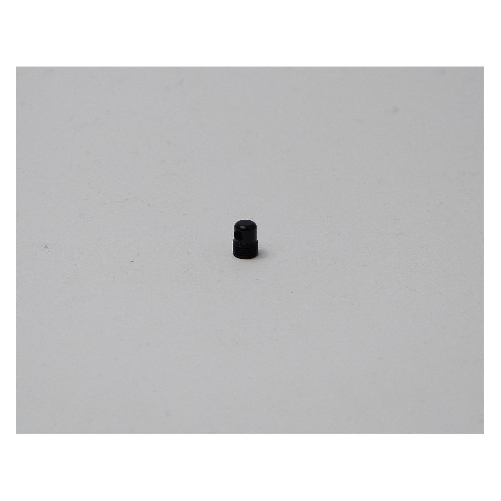Cane Creek Lagerbolzen Bremsbelagsjustierung, Direct Mount, eeBrake Bremse (35239583)