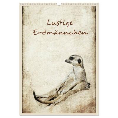 Lustige Erdmännchen (Wandkalender 2026 DIN A3 hoch), CALVENDO Monatskalender
