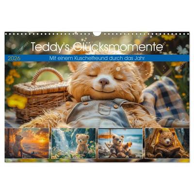 Abenteuer eines Taddybären (Wandkalender 2026 DIN A3 quer), CALVENDO Monatskalender