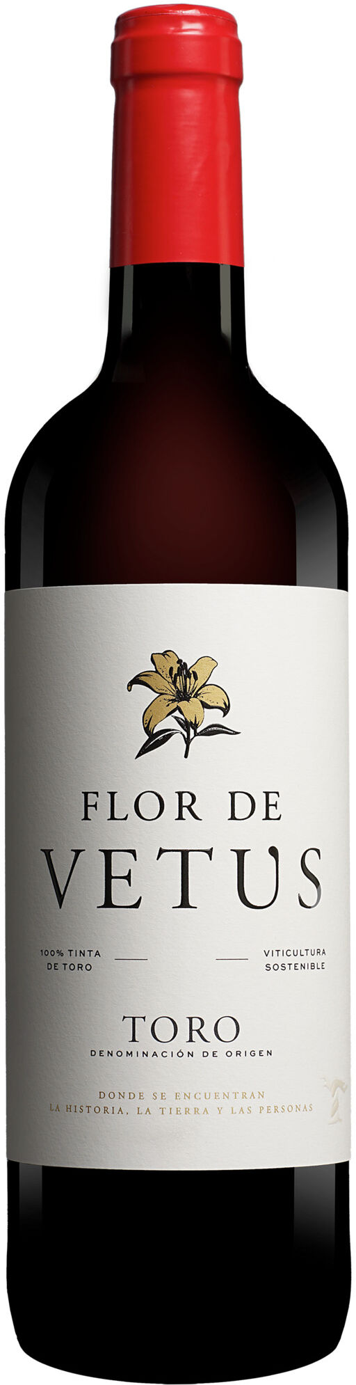 Artevino - Vetus Vetus »Flor de Vetus« 2022 14% Vol. Rotwein Trocken aus Spanien