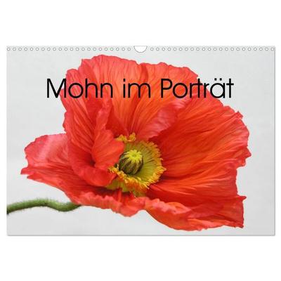 Mohn im Porträt (Wandkalender 2026 DIN A3 quer), CALVENDO Monatskalender