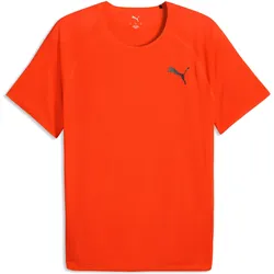 Puma, Herren, Sportshirt, M Lightspeed Ss (XS), Rot
