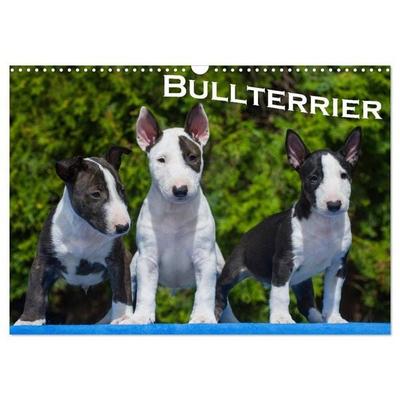 Bullterrier (Wandkalender 2027 DIN A3 quer), CALVENDO Monatskalender