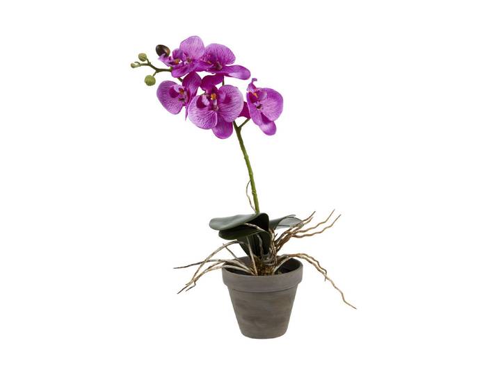 Mica Kunstpflanze Phalaenopsis Topf Grau 13 × 48 cm
