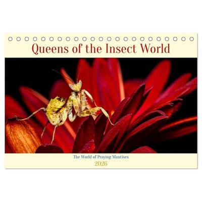 Queens of the Insect World (Desk Calendar 2026 DIN A5 landscape), CALVENDO 12 Month DeskCalendar