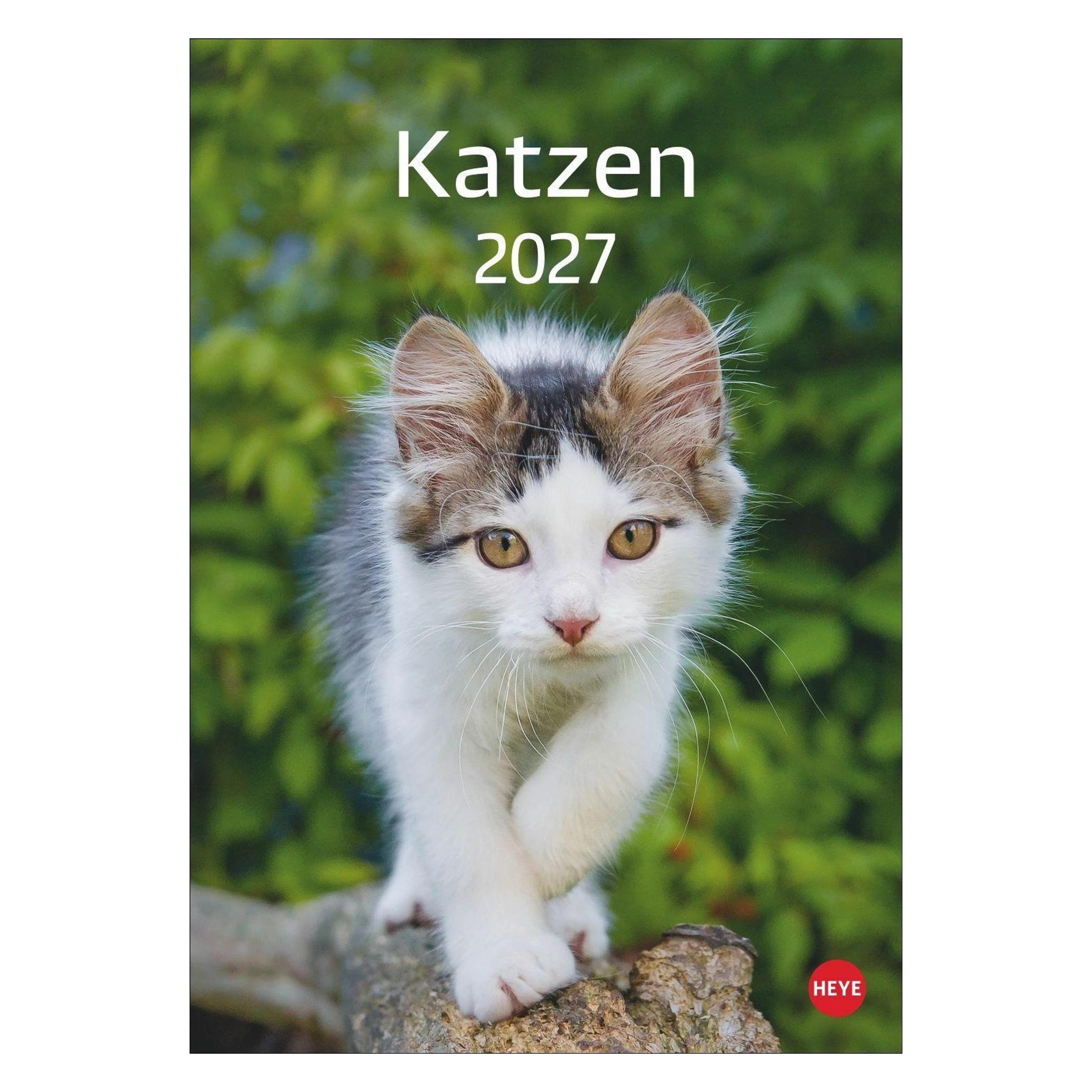 Athesia Katzen Kalender 2027 (67911027)