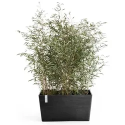 Ecopots, Blumentopf, Paris (99 x 46 x 50 cm)