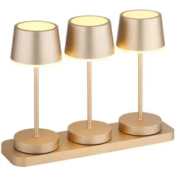 3x RGBW LED Tischlampen Touchdimmer Champagner Feuer-Effekt Fernbedienung IP54