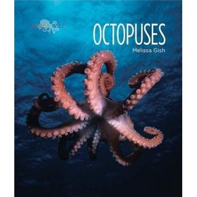 Octopuses, Taschenbuch von Melissa Gish, Creative Company, 978-0-89812-842-0