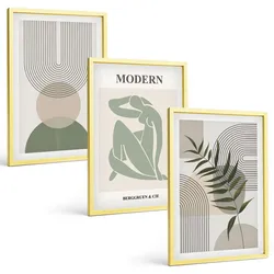 BILDER SET 3er Set - 40x60 cm Goldrahmen - Stilvolle Pflanzengrafiken