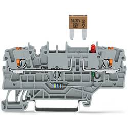 WAGO 2202-1981/1000-429 Sicherungsklemme Klemme 50 St. Piece