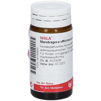 Mandragora Officinarium e radice D 4 Globuli 20 g