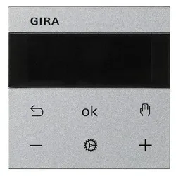 Gira RTR Display 539326