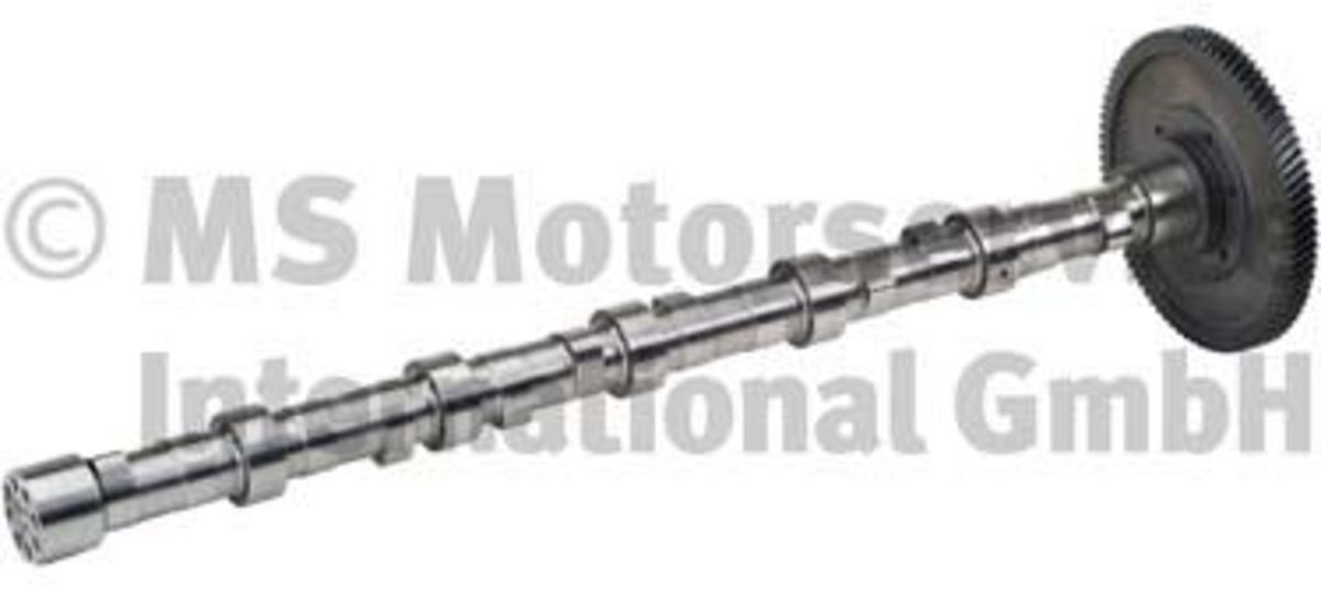 Nockenwelle BF 20100228763
