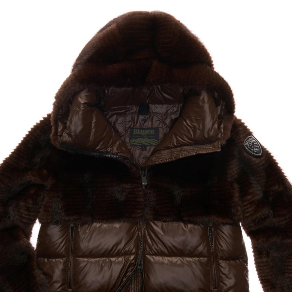 Blauer Fanevil