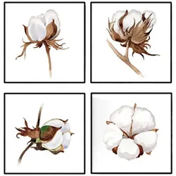 POSTER Set mit 4 Baumwollblumen 20x20cm Schwarzer Rahmen