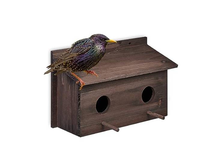 Relaxdays Nichoir d’extérieur pour étourneaux\, en Bois de Sapin Naturel\, 2X Trous d’envol\, à Suspendre\, Marron