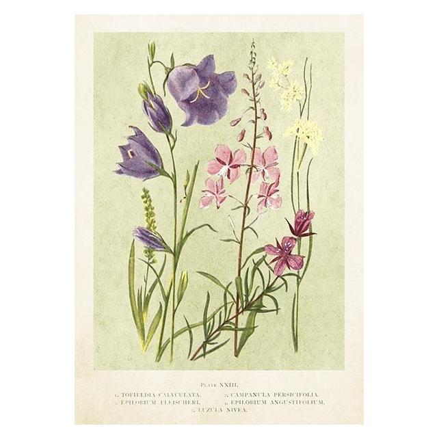 Sköna Ting Karte ST447 B6 + Umschlag Wildblumen Frühling (47994838)