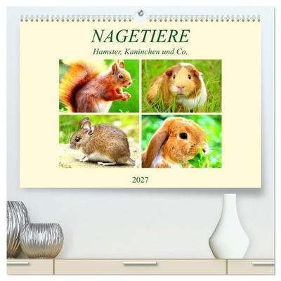 Nagetiere. Hamster, Kaninchen und Co. (hochwertiger Premium Wandkalender 2027 DIN A2 quer), Kunstdruck in Hochglanz