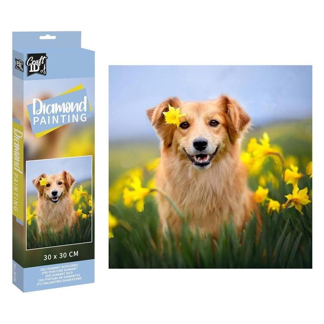 Witek Diamantmalerei - Hund 30x30cm (CR2098/23GE3)
