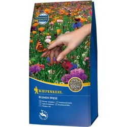 Kiepenkerl, Samen, Kiep. Blumen-Wiese (Blumensamen)
